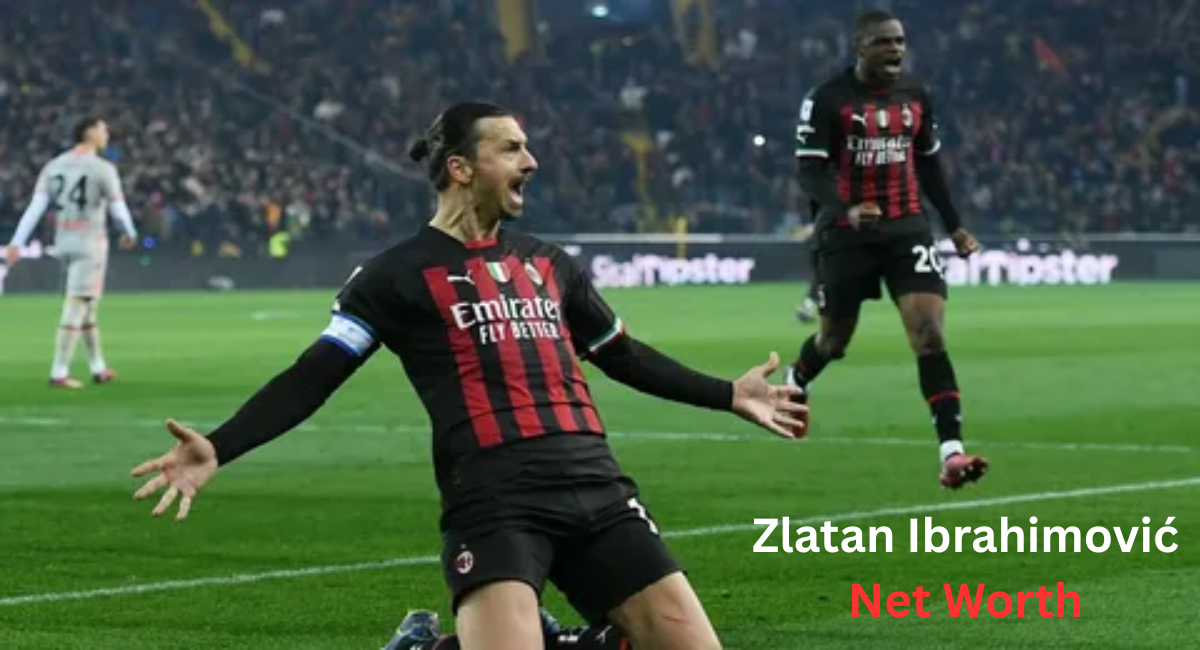 zlatan ibrahimović net worth